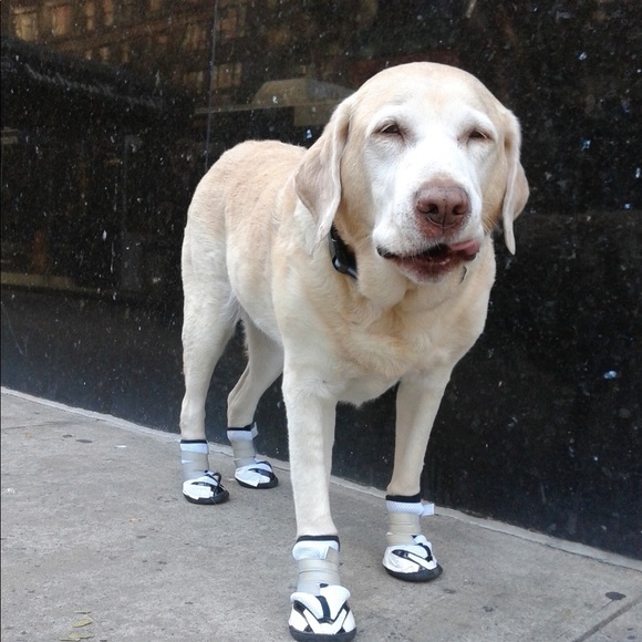 Meet your Posher, Jenny - Picture 1 of 1